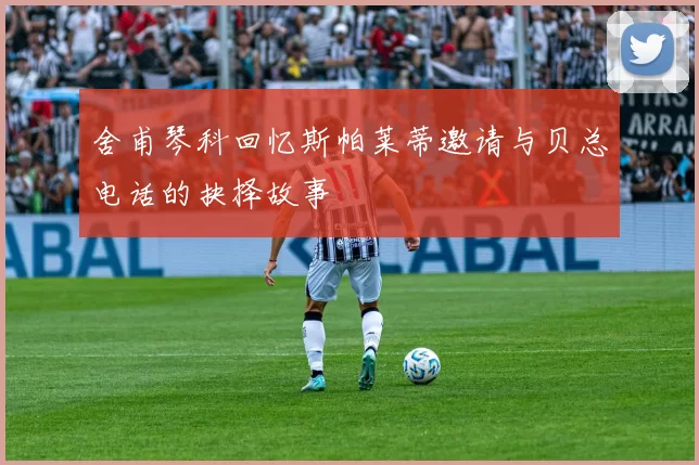 舍甫琴科回忆斯帕莱蒂邀请与贝总电话的抉择故事